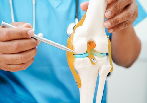 Best Orthopedic Surgeon